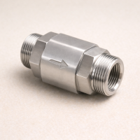 Обратный клапан G-S AISI 304 3"